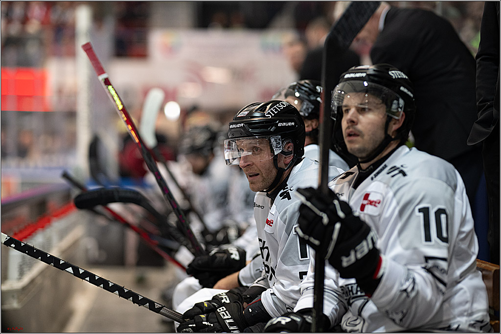 PENNY DEL: Iserlohn Roosters - Kölner Haie; Iserlohn, 30.12.2025