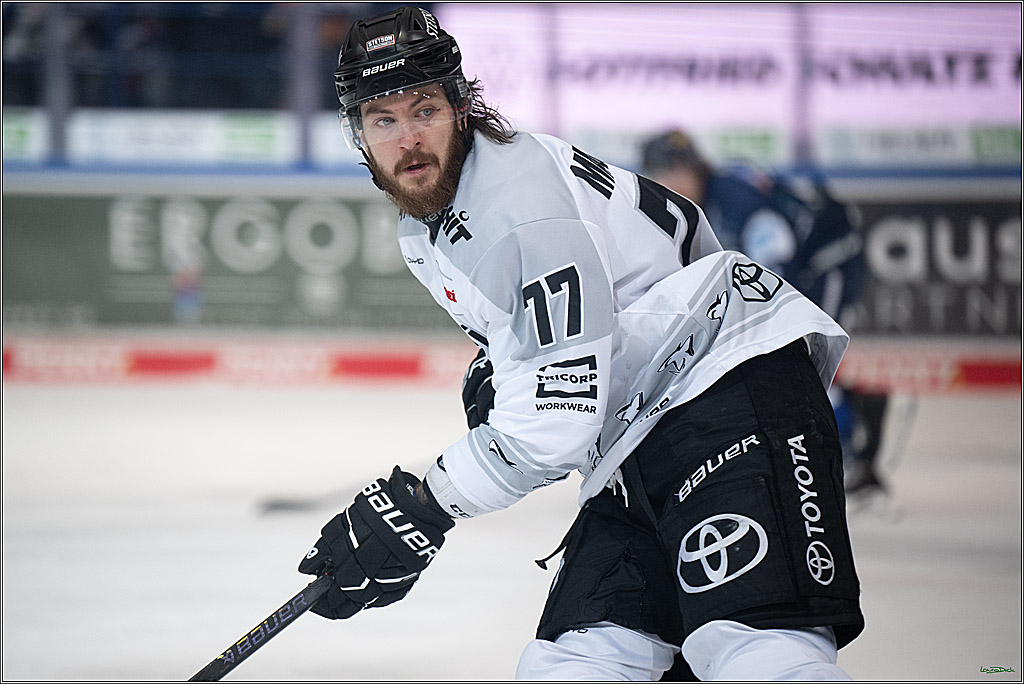 PENNY DEL: Iserlohn Roosters - Kölner Haie; Iserlohn, 30.12.2025