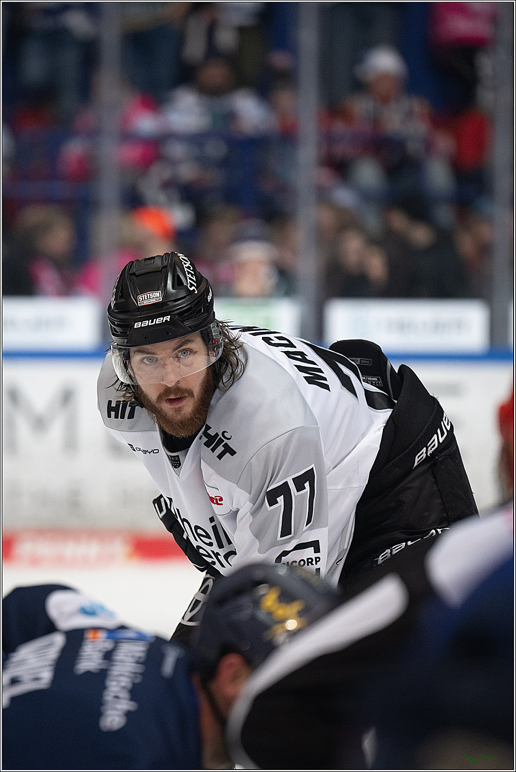 PENNY DEL: Iserlohn Roosters - Kölner Haie; Iserlohn, 30.12.2025