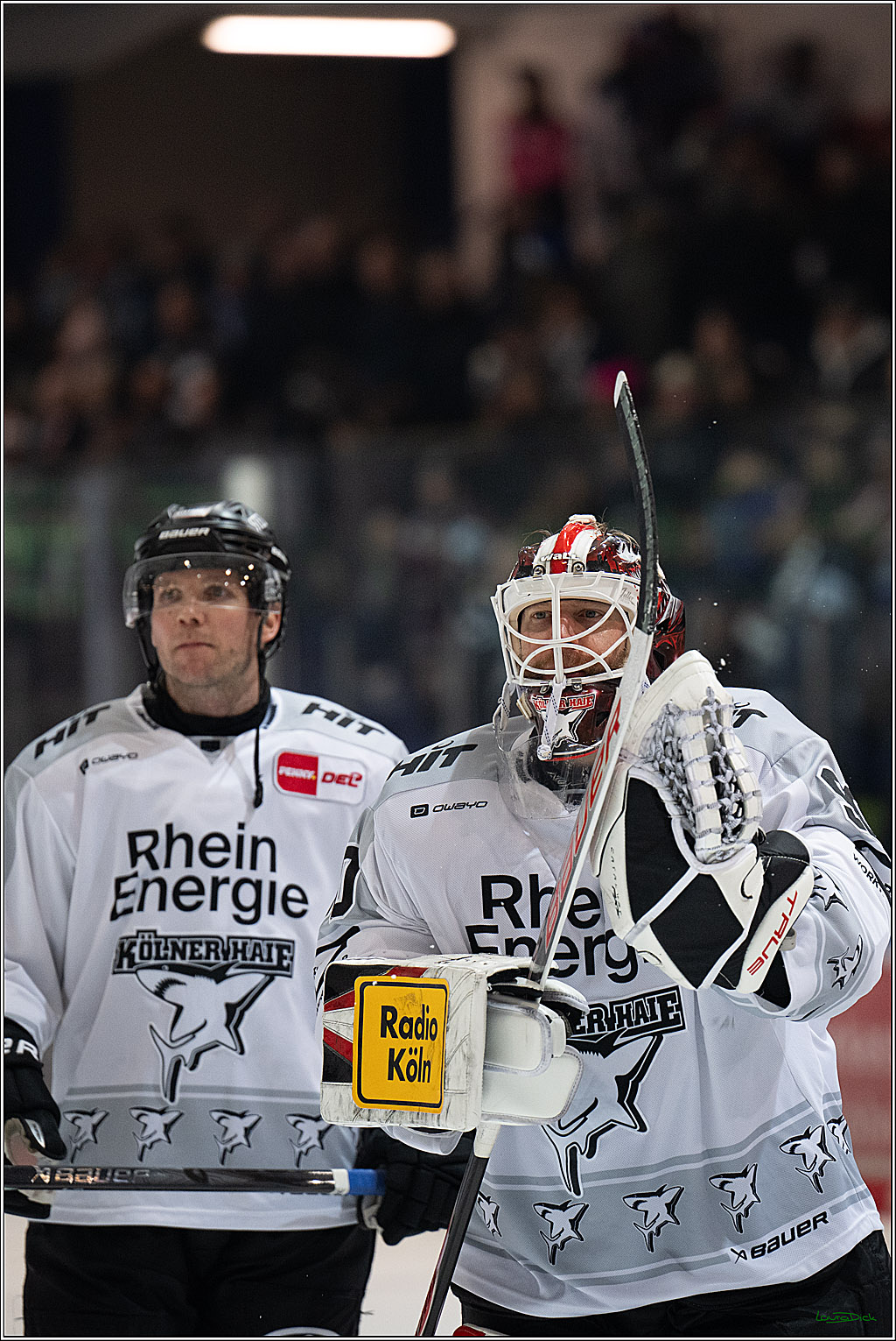 PENNY DEL: Iserlohn Roosters - Kölner Haie; Iserlohn, 30.12.2025