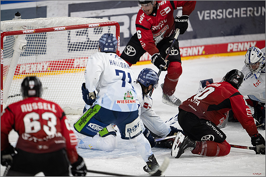 PENNY DEL 1; Kölner Haie - Straubing Tigers; Köln, 02.01.2026