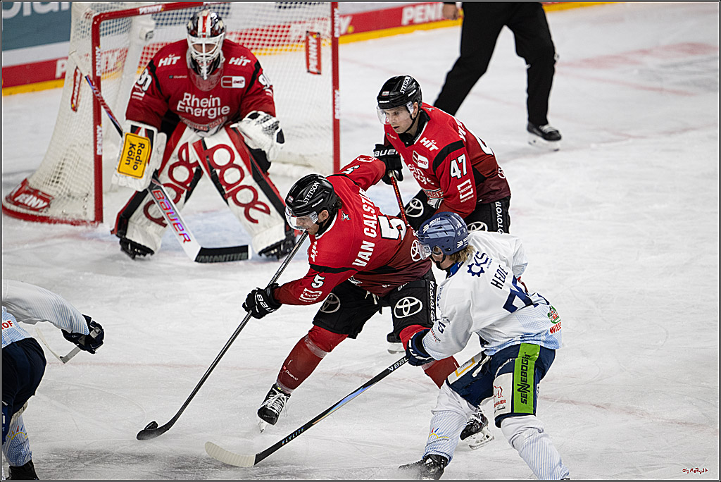 PENNY DEL 1; Kölner Haie - Straubing Tigers; Köln, 02.01.2026
