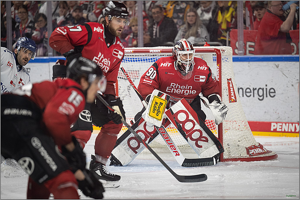 PENNY DEL 1; Kölner Haie - Straubing Tigers; Köln, 02.01.2026
