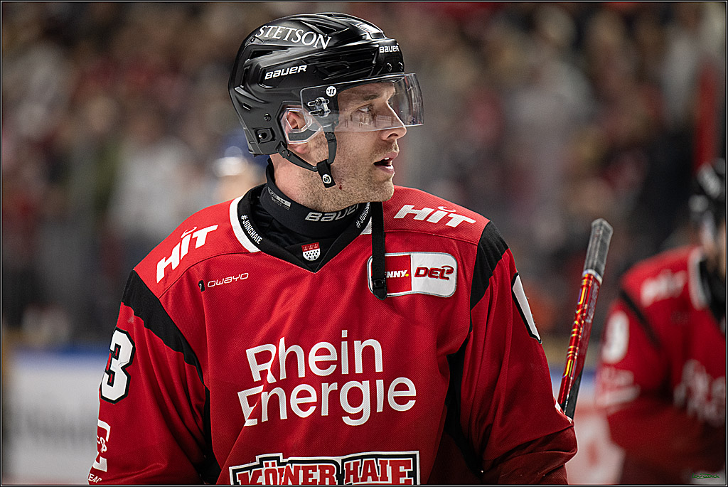 PENNY DEL 1; Kölner Haie - Straubing Tigers; Köln, 02.01.2026