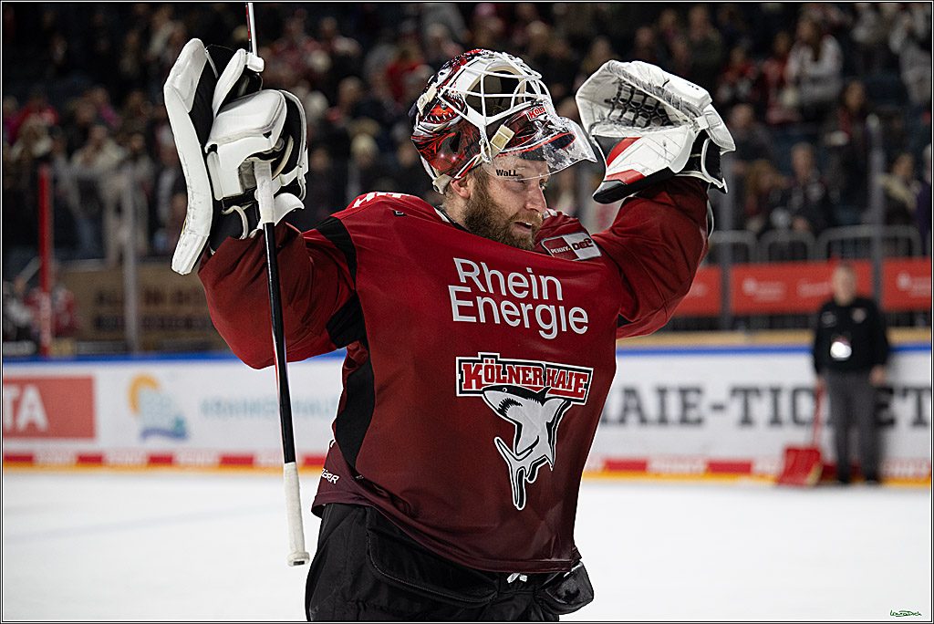 PENNY DEL 1; Kölner Haie - Straubing Tigers; Köln, 02.01.2026