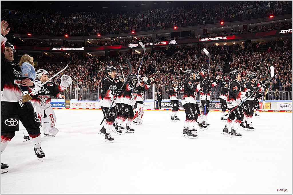 PENNY DEL 1; Kölner Haie - Nürnberg Ice Tigers; Köln, 25.01.2026