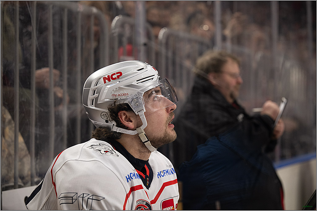 PENNY DEL 1; Kölner Haie - Nürnberg Ice Tigers; Köln, 25.01.2026