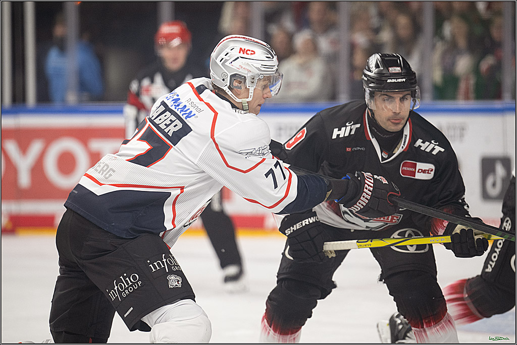 PENNY DEL 1; Kölner Haie - Nürnberg Ice Tigers; Köln, 25.01.2026