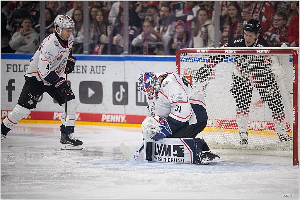 PENNY DEL 1; Kölner Haie - Nürnberg Ice Tigers; Köln, 25.01.2026