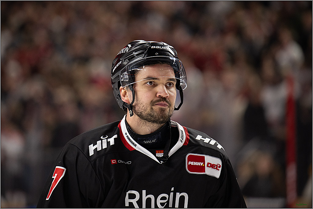 PENNY DEL 1; Kölner Haie - Nürnberg Ice Tigers; Köln, 25.01.2026