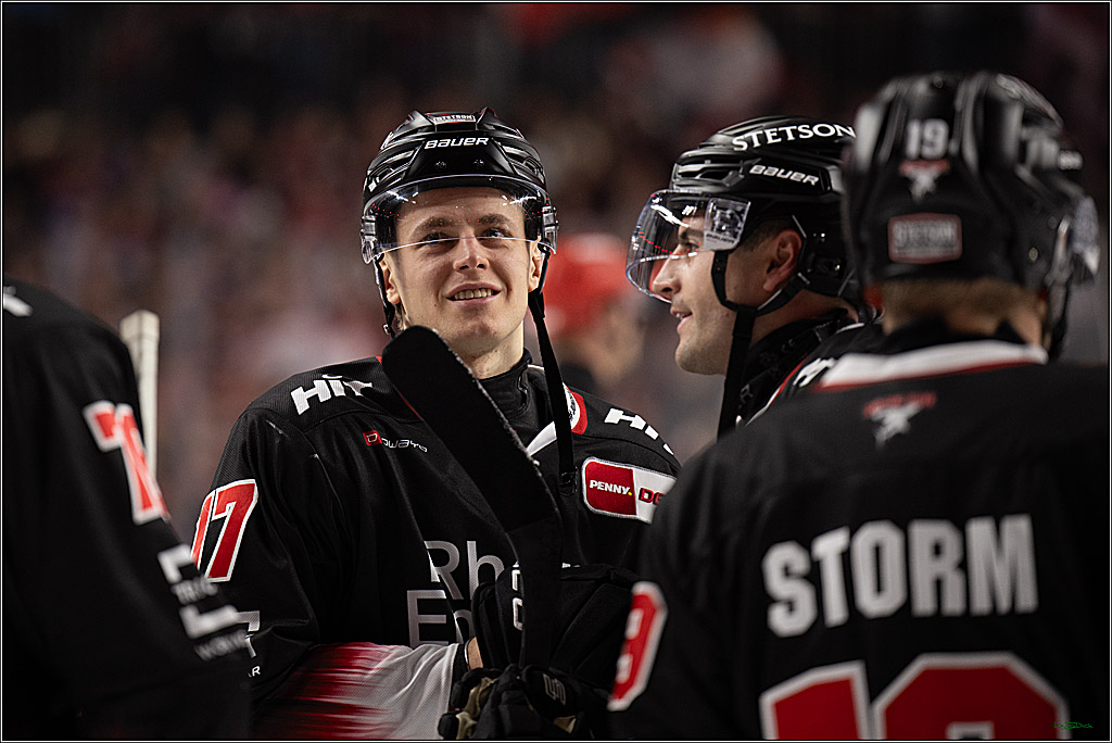 PENNY DEL 1; Kölner Haie - Nürnberg Ice Tigers; Köln, 25.01.2026