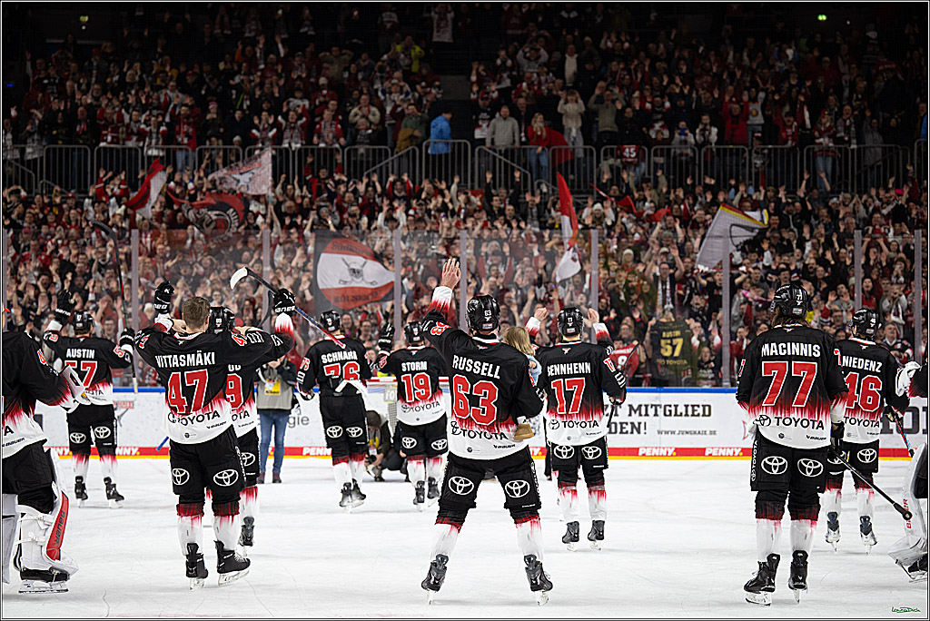 PENNY DEL 1; Kölner Haie - Nürnberg Ice Tigers; Köln, 25.01.2026