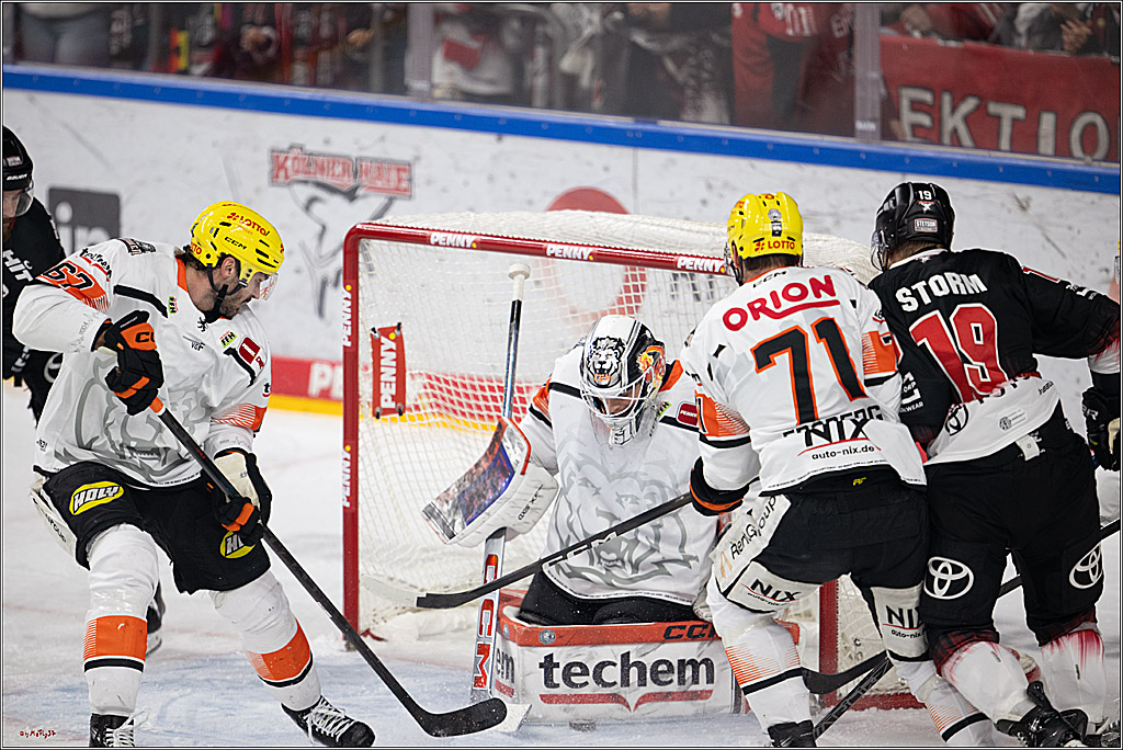 PENNY DEL 1; Kölner Haie - Löwen Frankfurt ; Köln, 27.01.2026