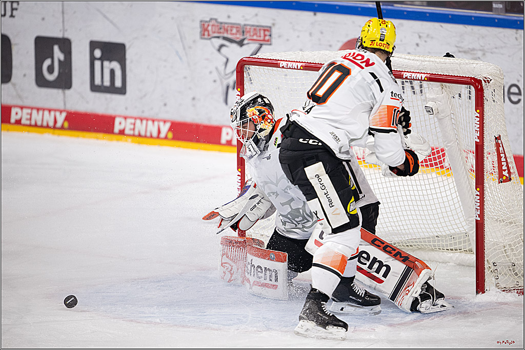 PENNY DEL 1; Kölner Haie - Löwen Frankfurt ; Köln, 27.01.2026