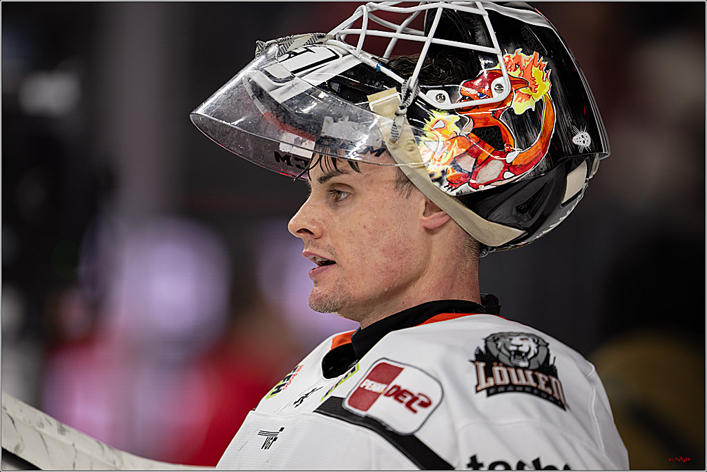 PENNY DEL 1; Kölner Haie - Löwen Frankfurt ; Köln, 27.01.2026