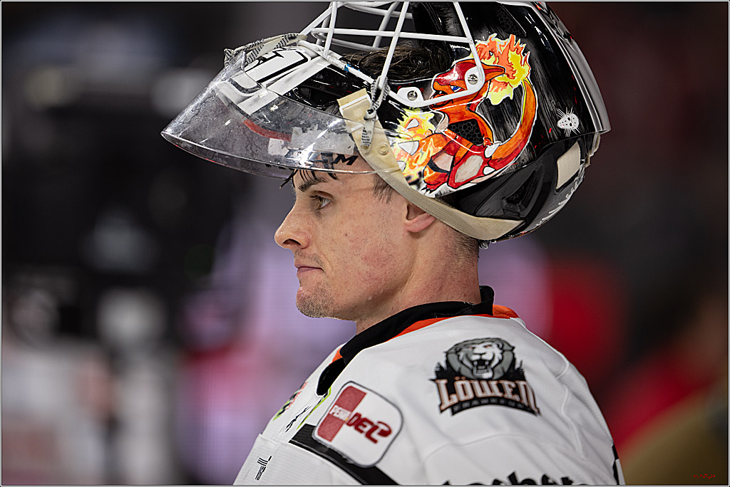 PENNY DEL 1; Kölner Haie - Löwen Frankfurt ; Köln, 27.01.2026