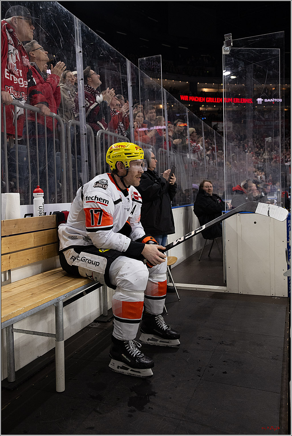 PENNY DEL 1; Kölner Haie - Löwen Frankfurt ; Köln, 27.01.2026