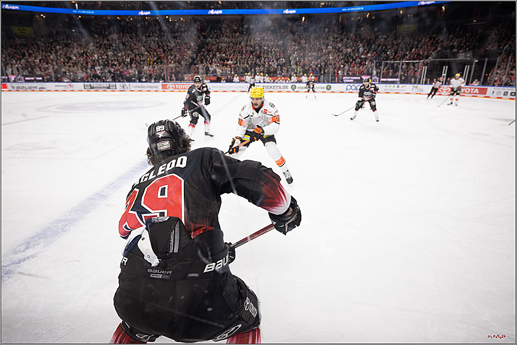 PENNY DEL 1; Kölner Haie - Löwen Frankfurt ; Köln, 27.01.2026