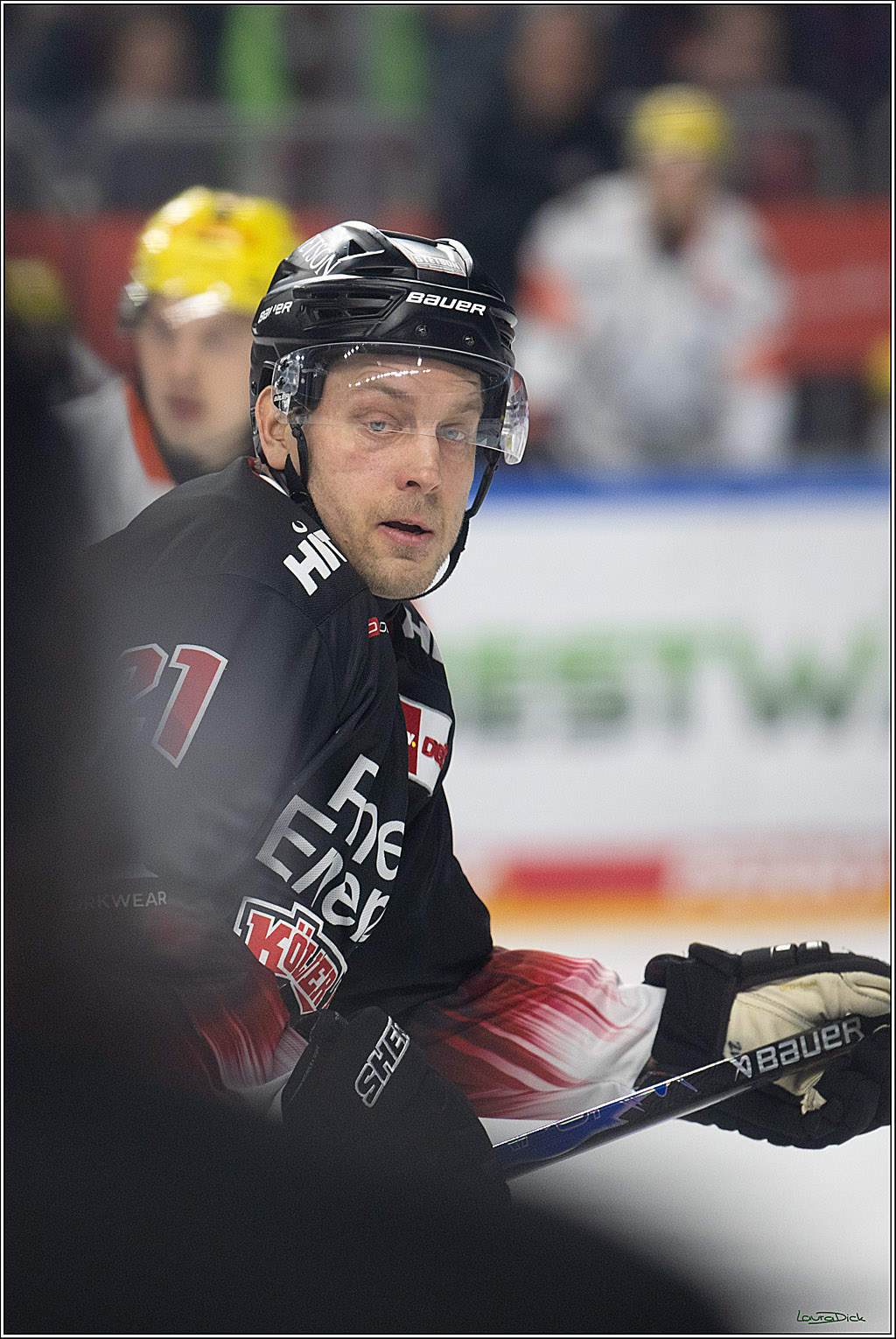 PENNY DEL 1; Kölner Haie - Löwen Frankfurt; Köln, 27.01.2026