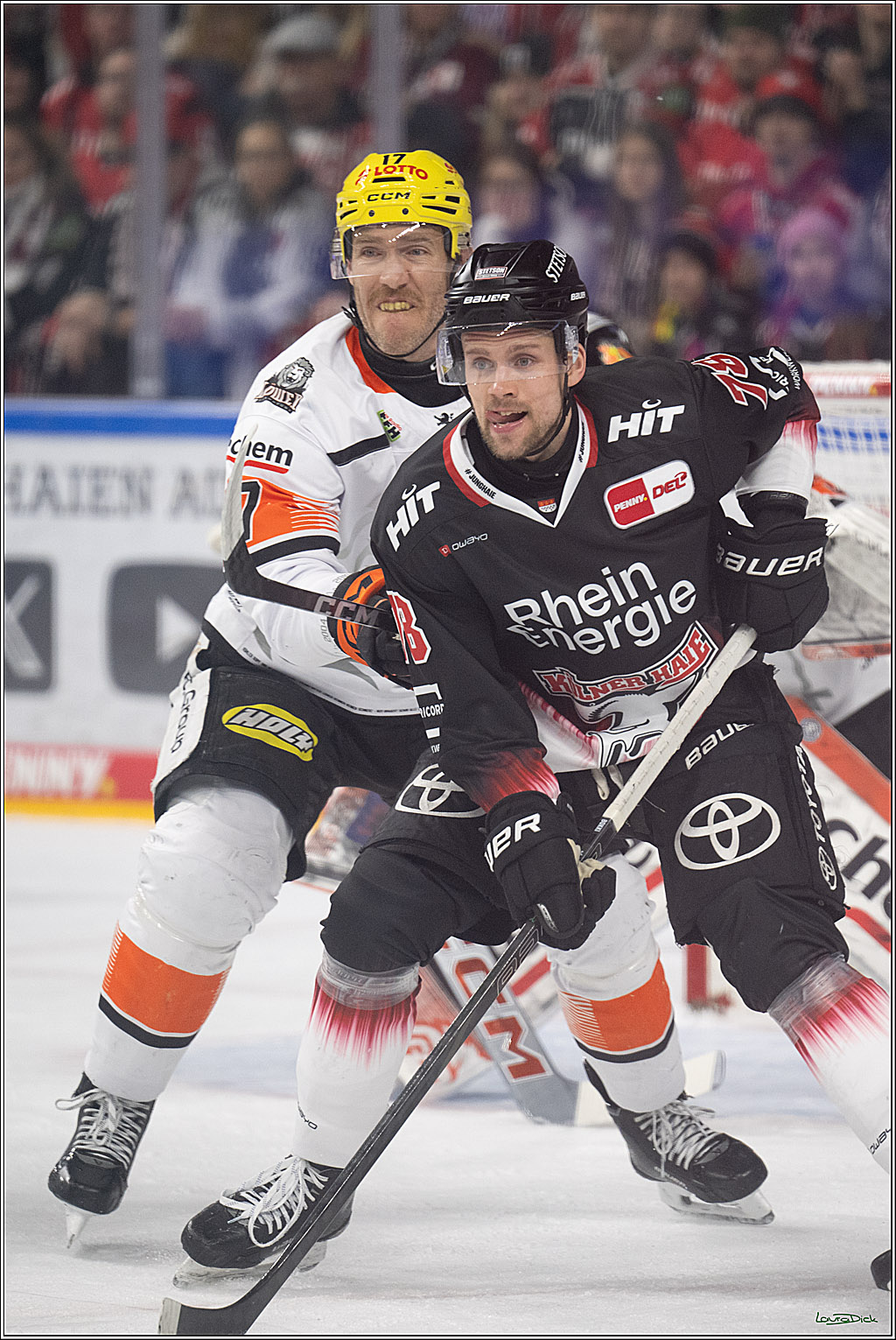 PENNY DEL 1; Kölner Haie - Löwen Frankfurt; Köln, 27.01.2026