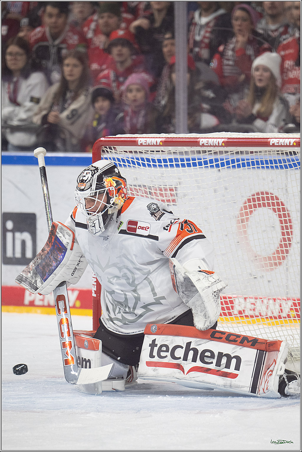 PENNY DEL 1; Kölner Haie - Löwen Frankfurt; Köln, 27.01.2026