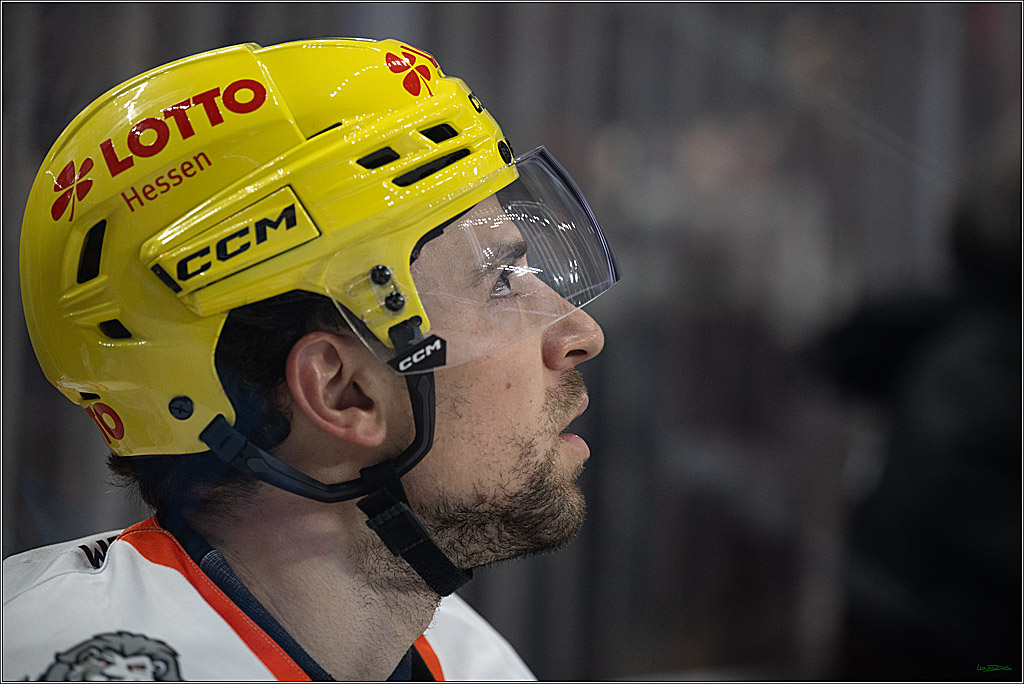 PENNY DEL 1; Kölner Haie - Löwen Frankfurt; Köln, 27.01.2026