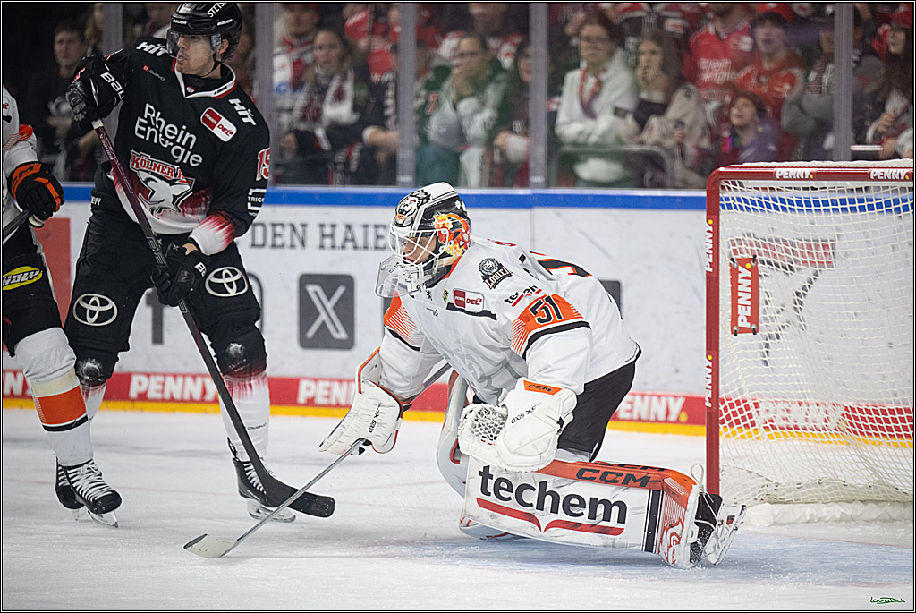 PENNY DEL 1; Kölner Haie - Löwen Frankfurt; Köln, 27.01.2026