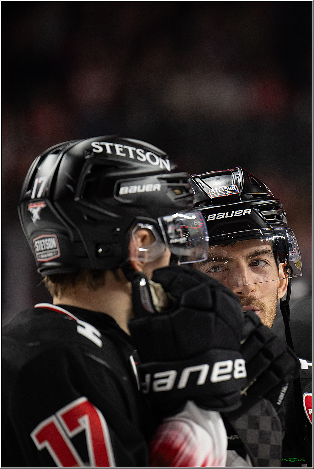 PENNY DEL 1; Kölner Haie - Löwen Frankfurt; Köln, 27.01.2026
