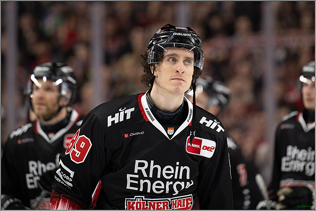 PENNY DEL 1; Kölner Haie - Löwen Frankfurt; Köln, 27.01.2026