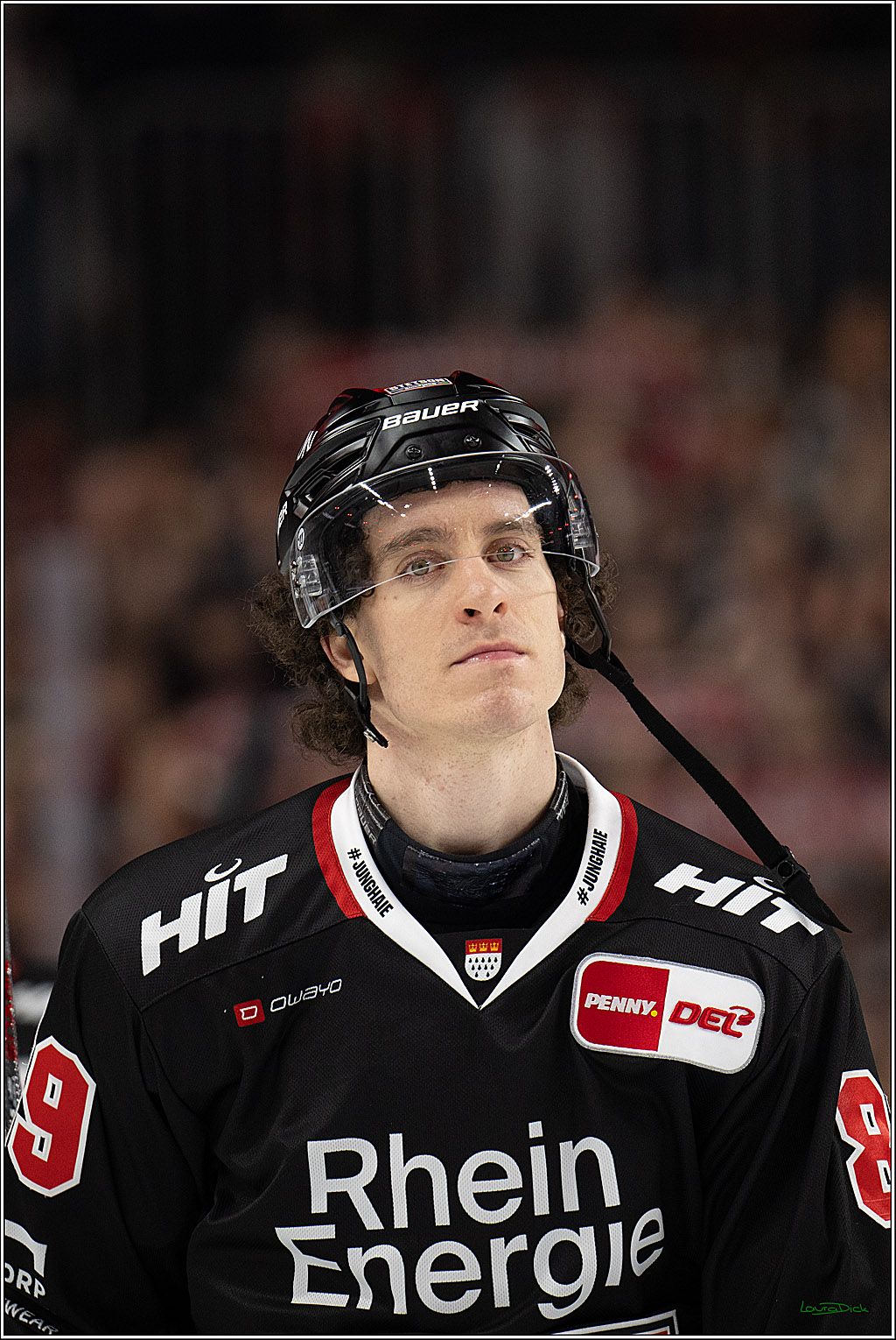 PENNY DEL 1; Kölner Haie - Löwen Frankfurt; Köln, 27.01.2026