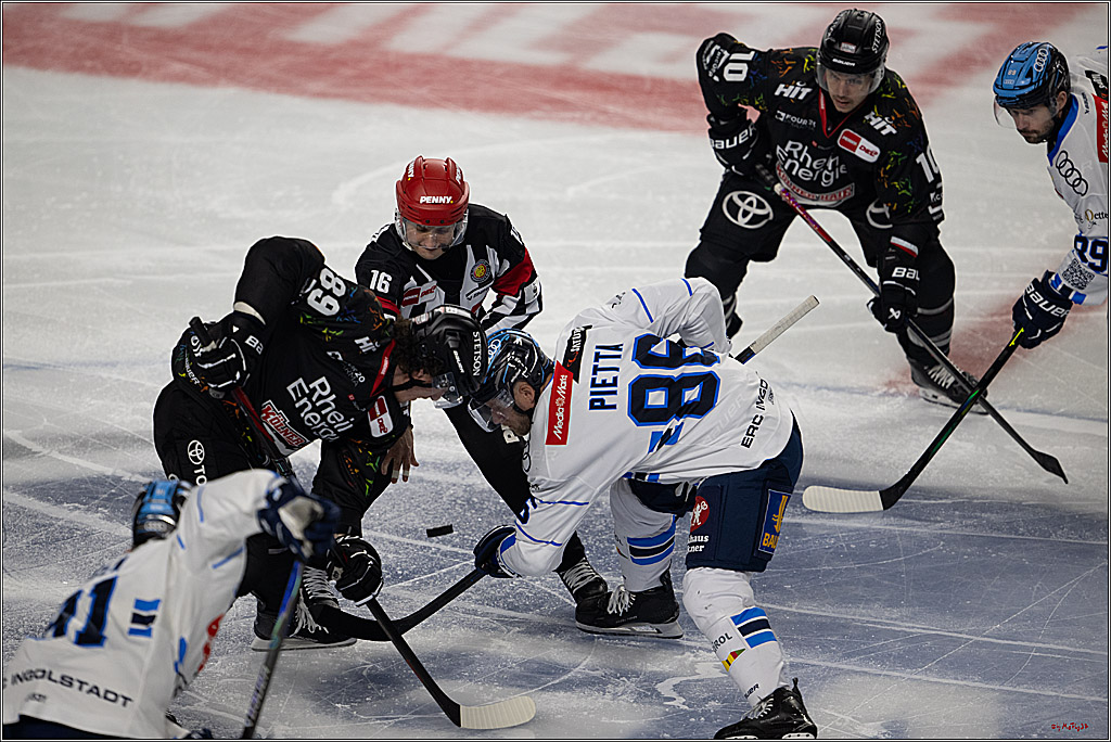 PENNY DEL 1; Kölner Haie - ERC Ingolstadt; Köln, 27.02.2026