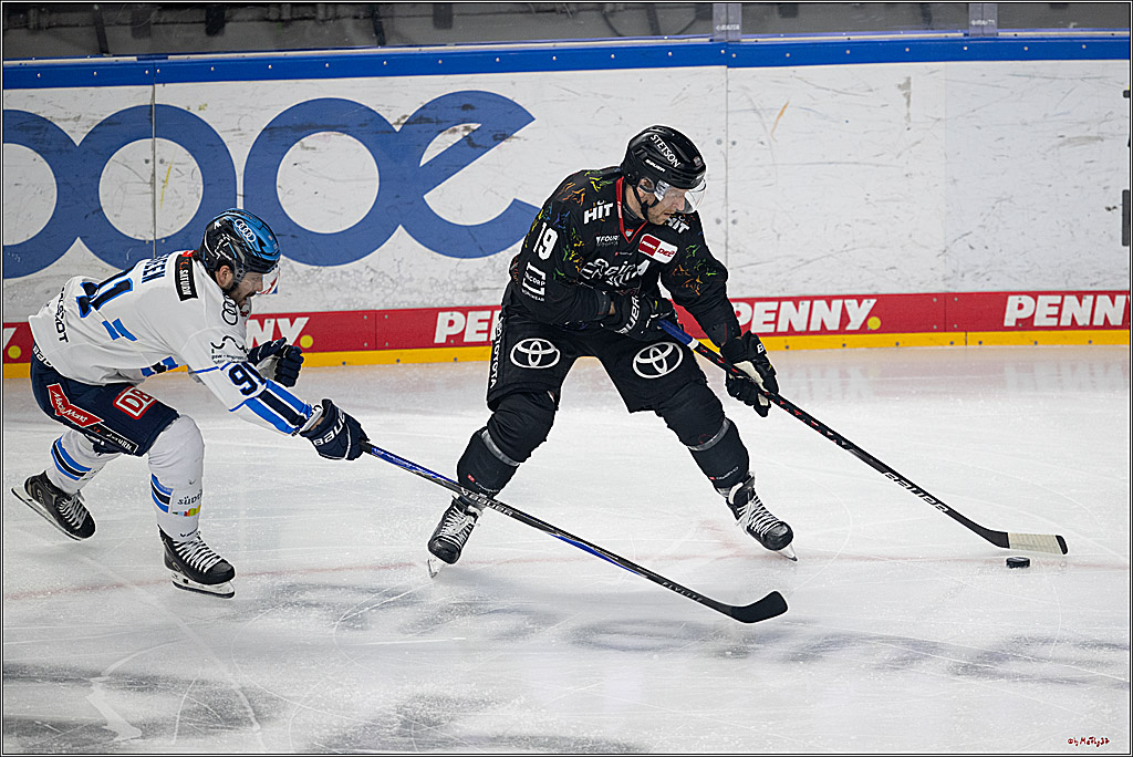 PENNY DEL 1; Kölner Haie - ERC Ingolstadt; Köln, 27.02.2026