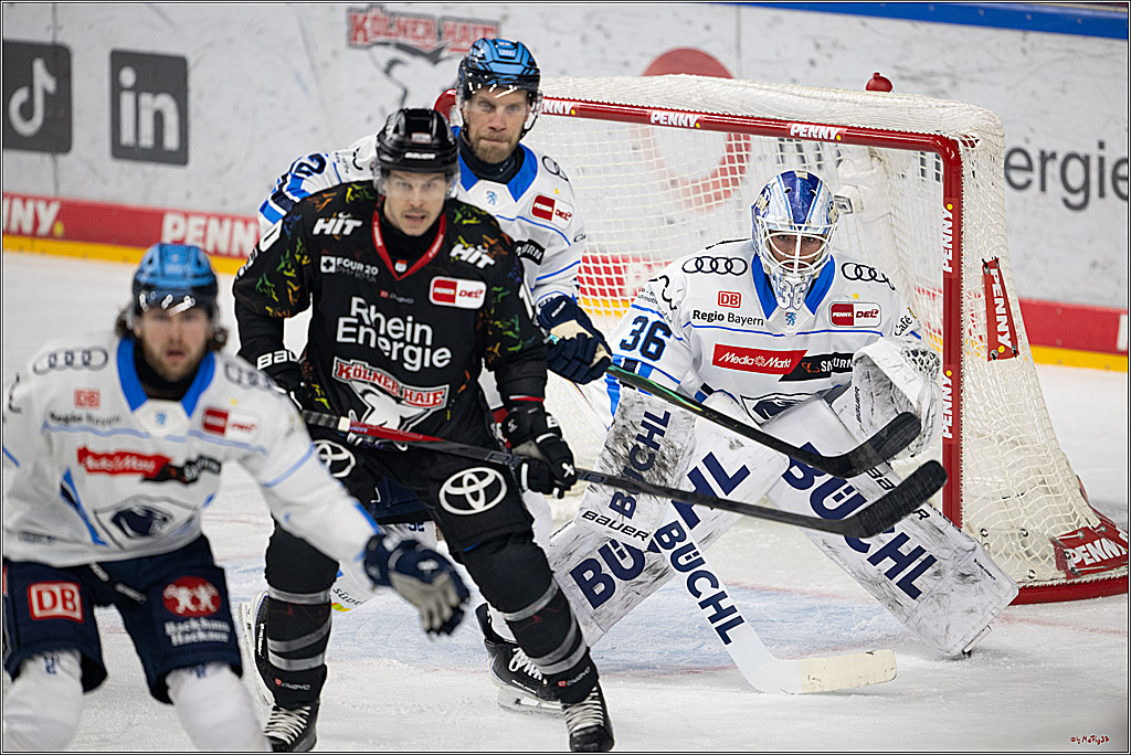 PENNY DEL 1; Kölner Haie - ERC Ingolstadt; Köln, 27.02.2026