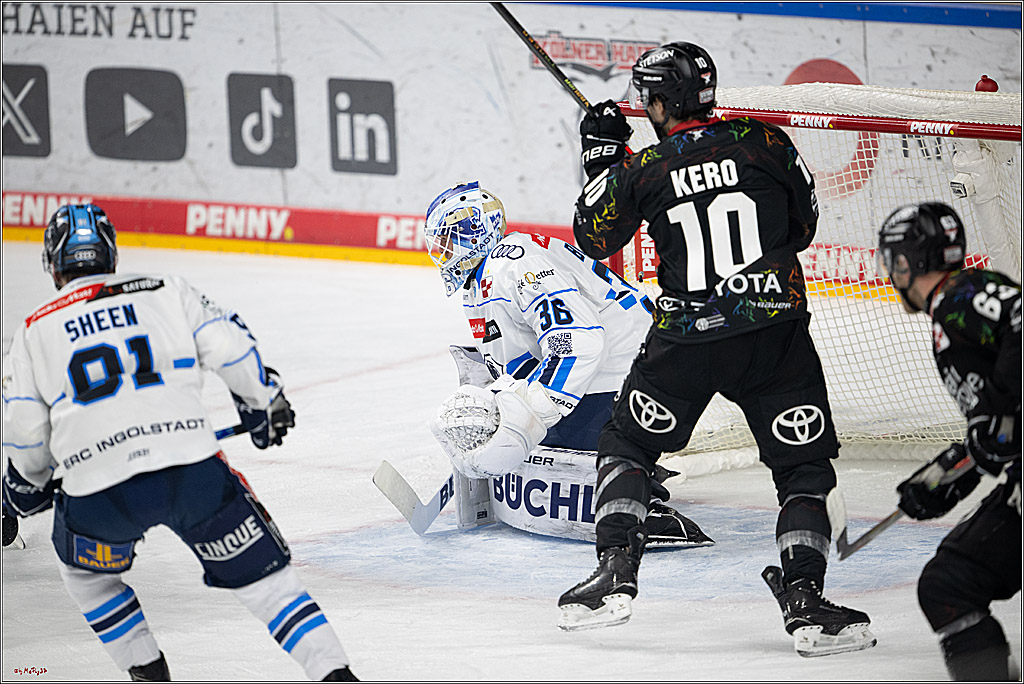 PENNY DEL 1; Kölner Haie - ERC Ingolstadt; Köln, 27.02.2026