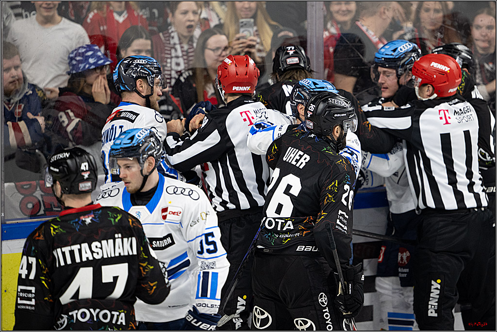PENNY DEL 1; Kölner Haie - ERC Ingolstadt; Köln, 27.02.2026