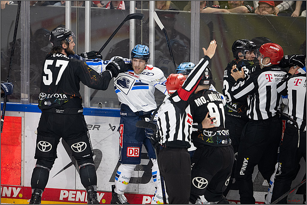 PENNY DEL 1; Kölner Haie - ERC Ingolstadt; Köln, 27.02.2026