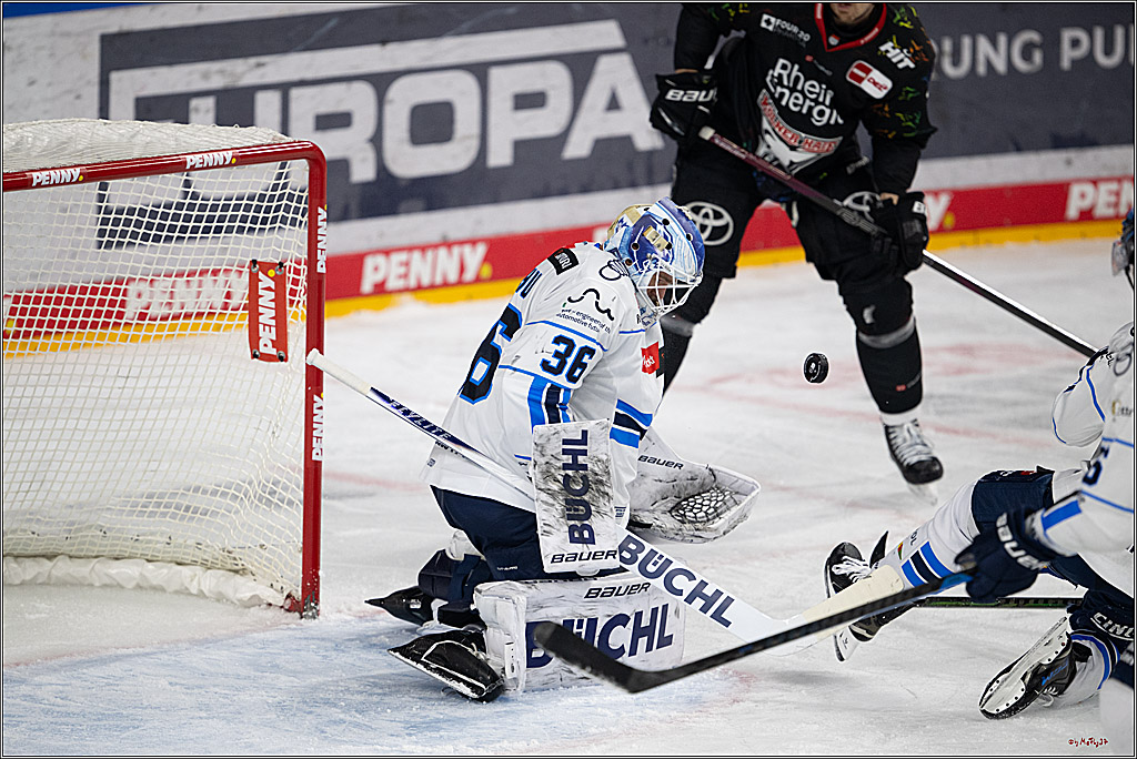 PENNY DEL 1; Kölner Haie - ERC Ingolstadt; Köln, 27.02.2026