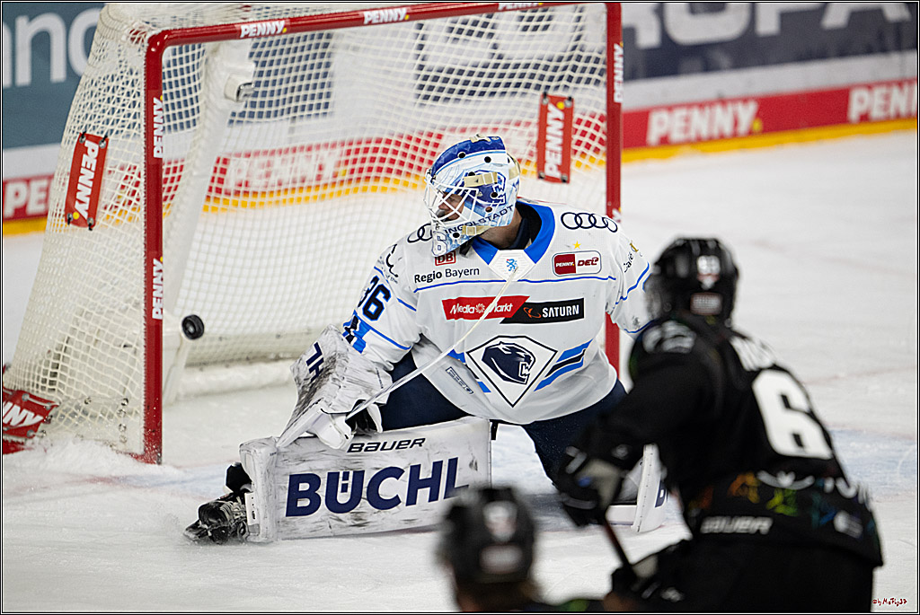 PENNY DEL 1; Kölner Haie - ERC Ingolstadt; Köln, 27.02.2026