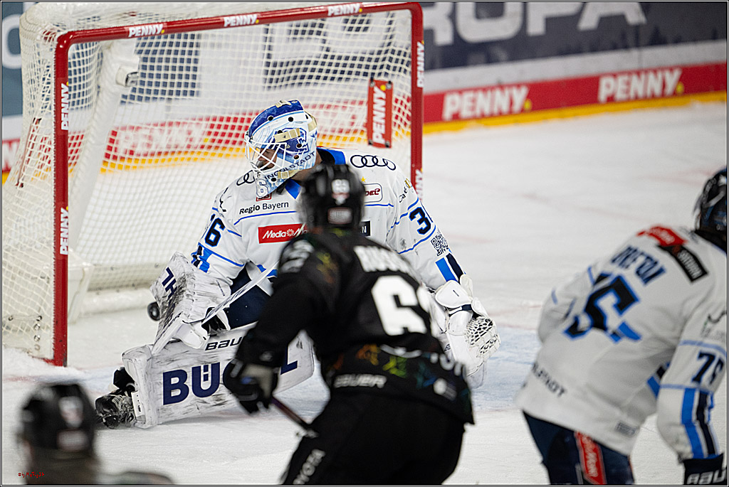 PENNY DEL 1; Kölner Haie - ERC Ingolstadt; Köln, 27.02.2026