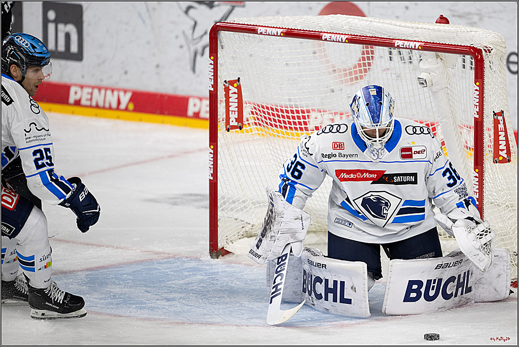 PENNY DEL 1; Kölner Haie - ERC Ingolstadt; Köln, 27.02.2026