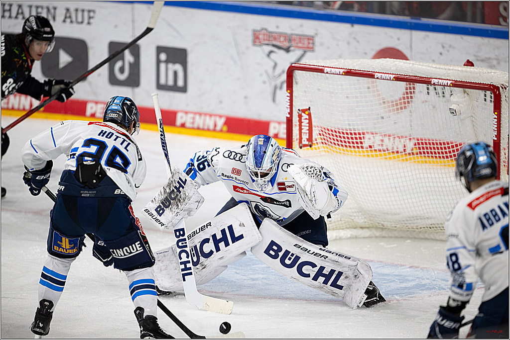 PENNY DEL 1; Kölner Haie - ERC Ingolstadt; Köln, 27.02.2026