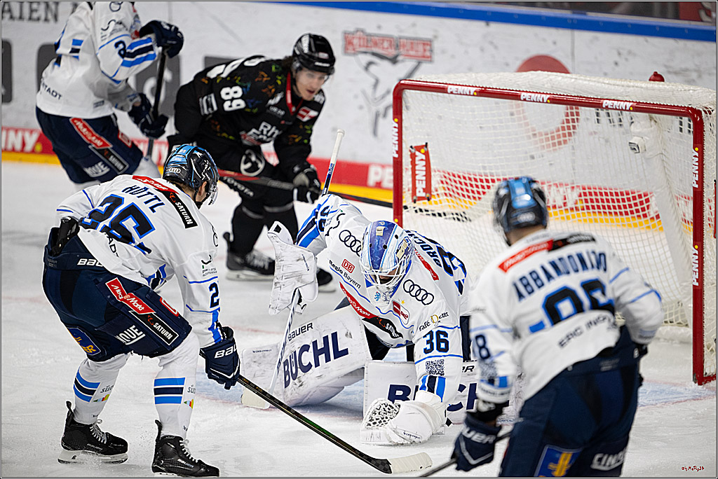 PENNY DEL 1; Kölner Haie - ERC Ingolstadt; Köln, 27.02.2026