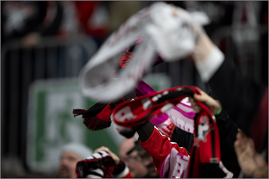 PENNY DEL 1; Kölner Haie - ERC Ingolstadt; Köln, 27.02.2026