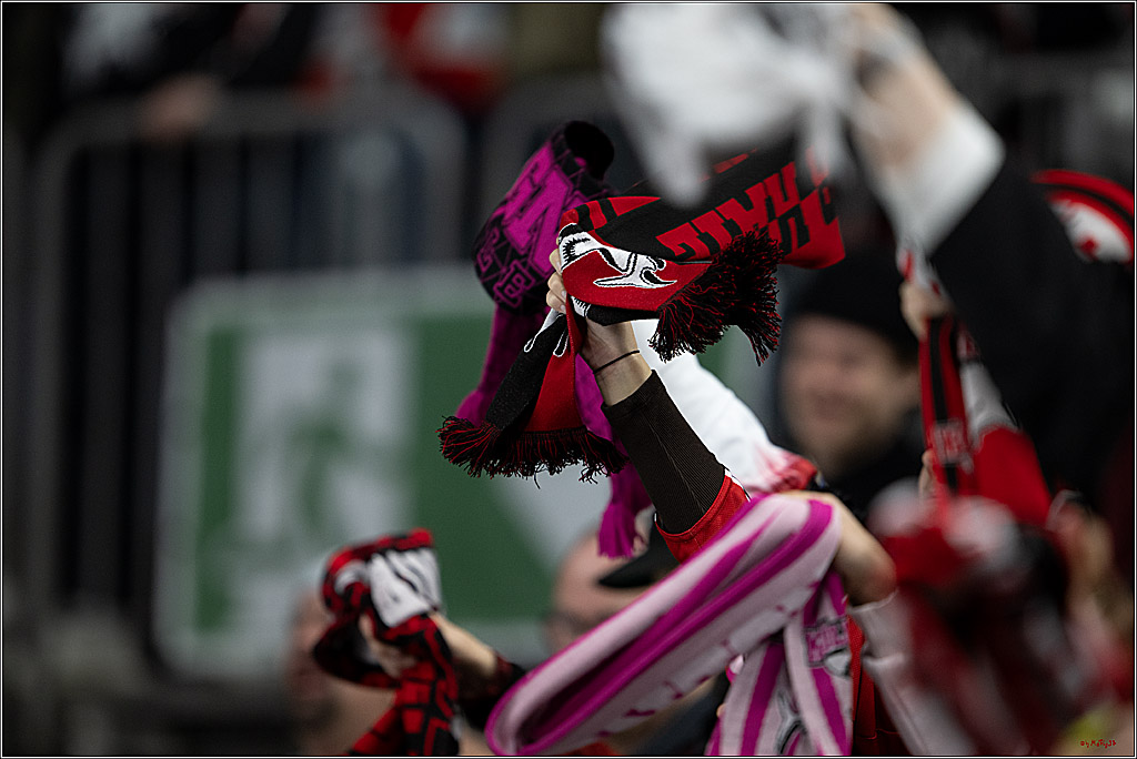 PENNY DEL 1; Kölner Haie - ERC Ingolstadt; Köln, 27.02.2026