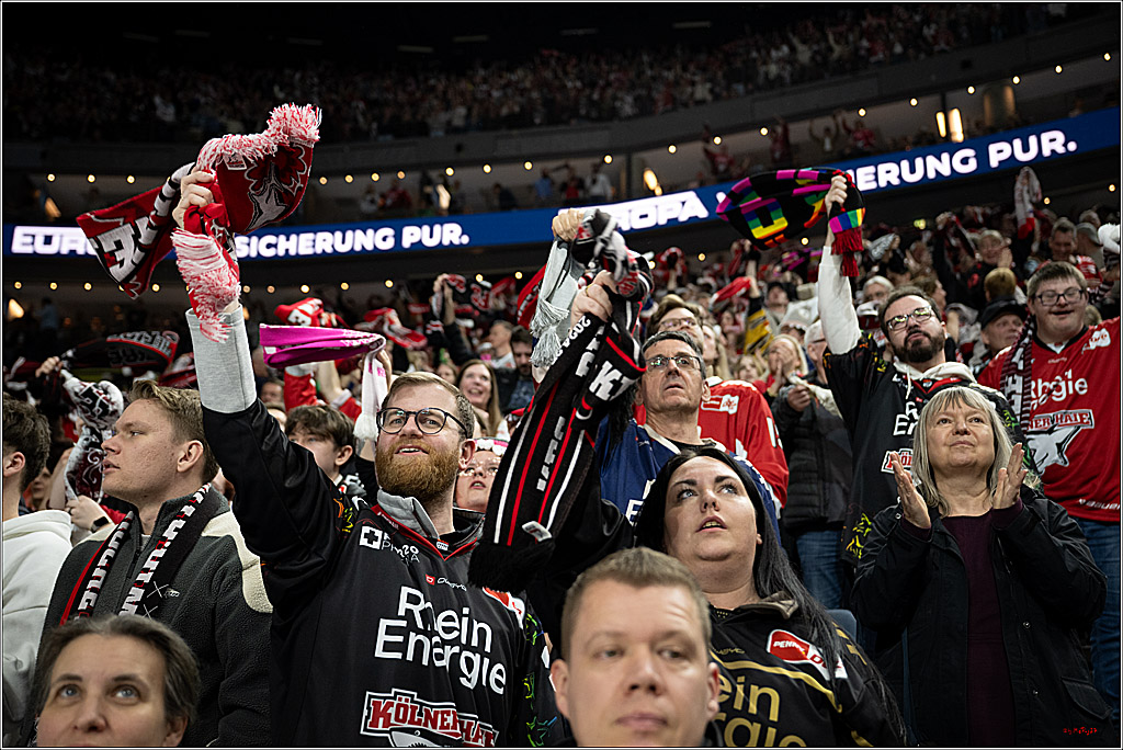 PENNY DEL 1; Kölner Haie - ERC Ingolstadt; Köln, 27.02.2026