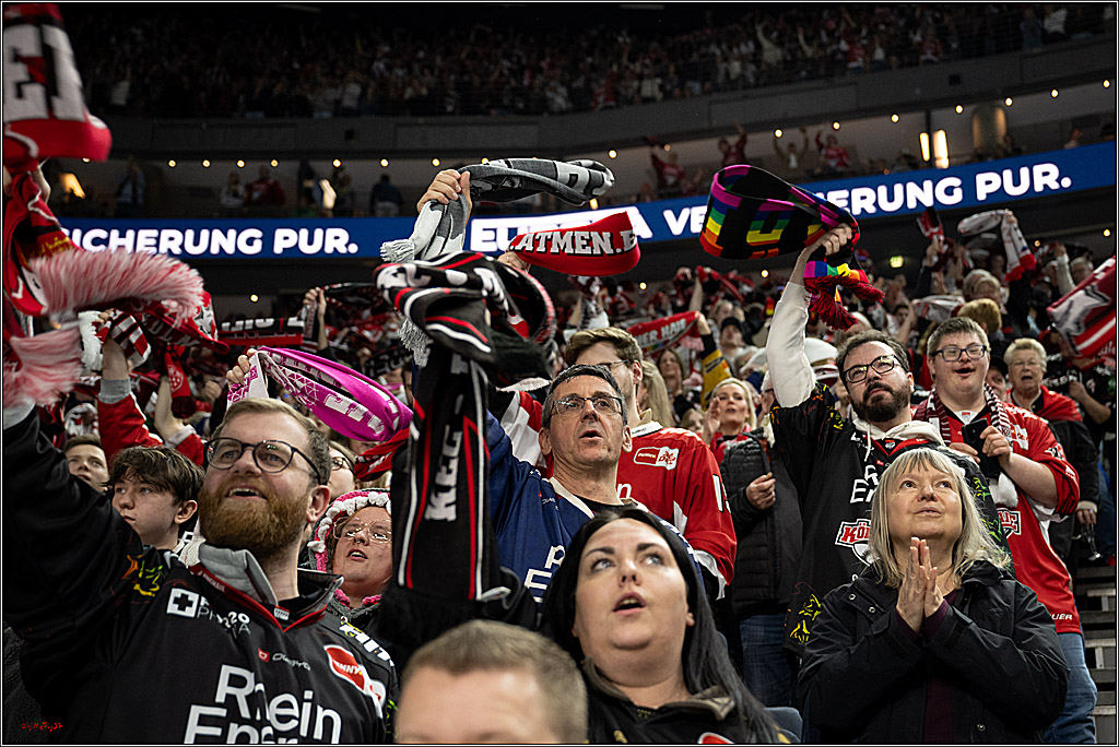 PENNY DEL 1; Kölner Haie - ERC Ingolstadt; Köln, 27.02.2026