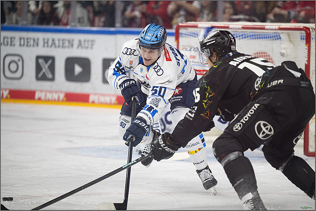 PENNY DEL 1; Kölner Haie - ERC Ingolstadt; Köln, 27.02.2026