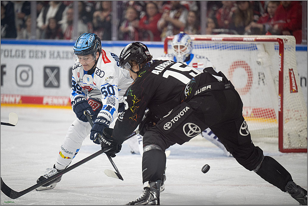 PENNY DEL 1; Kölner Haie - ERC Ingolstadt; Köln, 27.02.2026