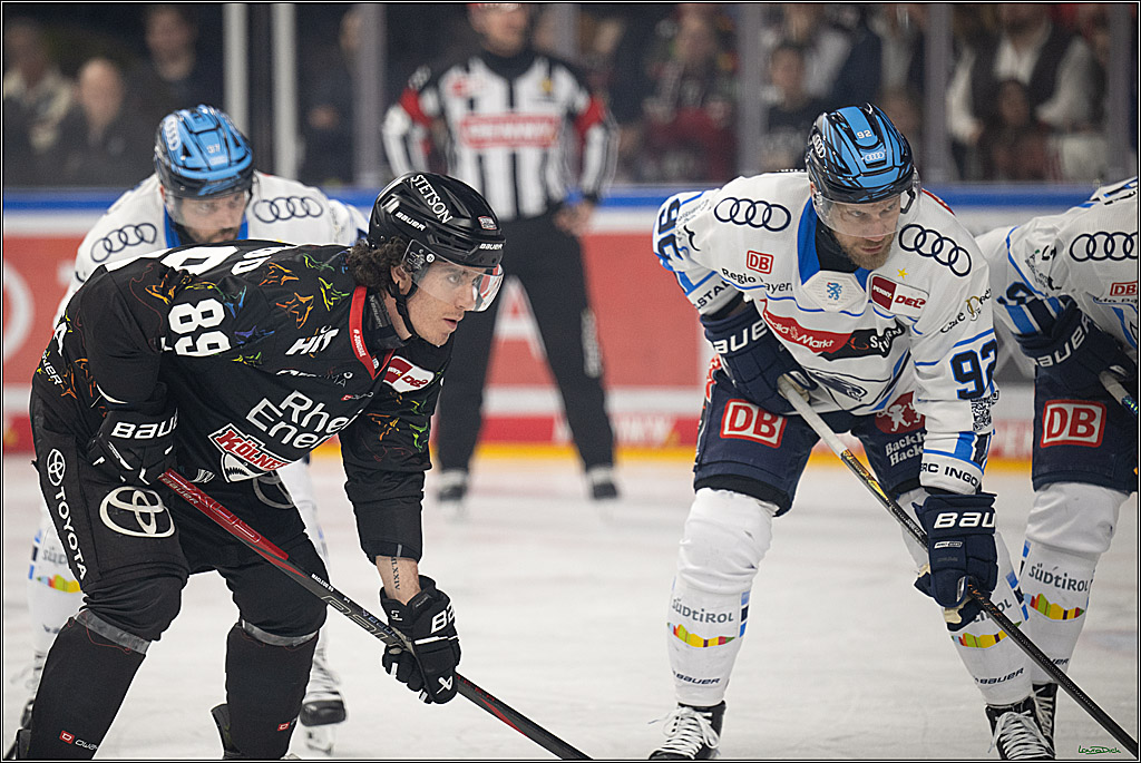 PENNY DEL 1; Kölner Haie - ERC Ingolstadt; Köln, 27.02.2026