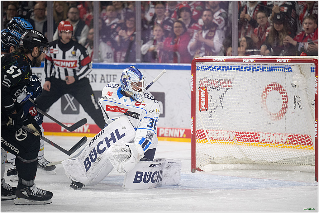 PENNY DEL 1; Kölner Haie - ERC Ingolstadt; Köln, 27.02.2026